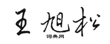 駱恆光王旭松行書個性簽名怎么寫