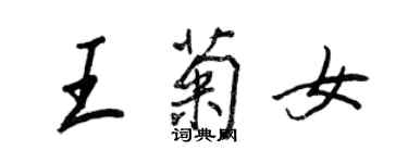 王正良王菊女行書個性簽名怎么寫
