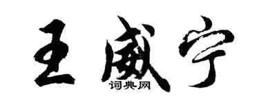 胡問遂王威寧行書個性簽名怎么寫