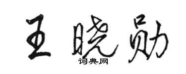 駱恆光王曉勛行書個性簽名怎么寫