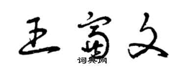 曾慶福王富文草書個性簽名怎么寫