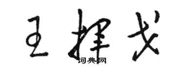 駱恆光王揮戈草書個性簽名怎么寫