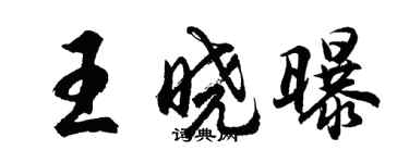 胡問遂王曉曝行書個性簽名怎么寫