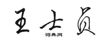 駱恆光王士貞行書個性簽名怎么寫