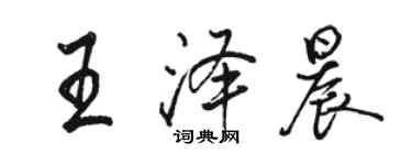 駱恆光王澤晨行書個性簽名怎么寫