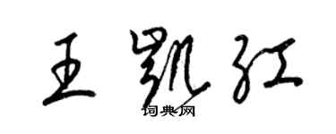 梁錦英王凱紅草書個性簽名怎么寫