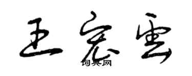 曾慶福王宏雲草書個性簽名怎么寫