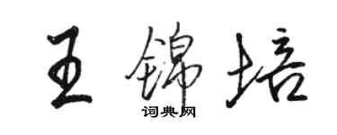 駱恆光王錦培行書個性簽名怎么寫