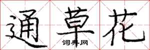 龐中華通草花楷書怎么寫