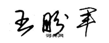 朱錫榮王盼軍草書個性簽名怎么寫