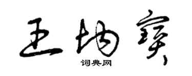 曾慶福王均寶草書個性簽名怎么寫