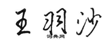 駱恆光王羽沙行書個性簽名怎么寫