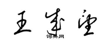 梁錦英王成望草書個性簽名怎么寫