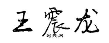 曾慶福王震龍行書個性簽名怎么寫