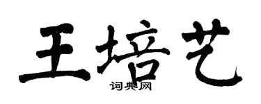 翁闓運王培藝楷書個性簽名怎么寫