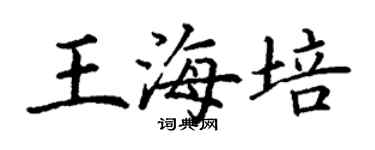 丁謙王海培楷書個性簽名怎么寫