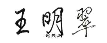 駱恆光王明翠行書個性簽名怎么寫