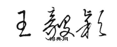 駱恆光王毅穎草書個性簽名怎么寫