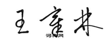 駱恆光王章林草書個性簽名怎么寫