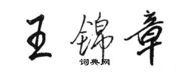 駱恆光王錦章行書個性簽名怎么寫