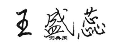 駱恆光王盛蕊行書個性簽名怎么寫