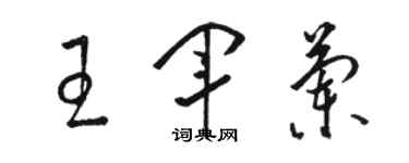 駱恆光王軍蘭草書個性簽名怎么寫