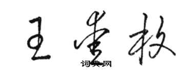 駱恆光王愛枚草書個性簽名怎么寫