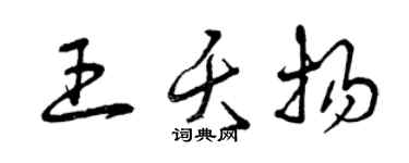 曾慶福王夭揚草書個性簽名怎么寫
