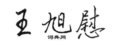駱恆光王旭慰行書個性簽名怎么寫