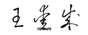 駱恆光王愛成草書個性簽名怎么寫