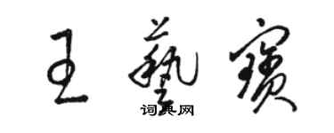 駱恆光王藝寶草書個性簽名怎么寫