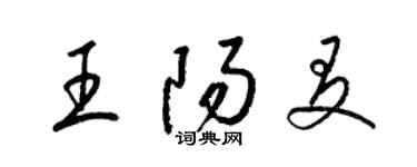 梁錦英王陽友草書個性簽名怎么寫