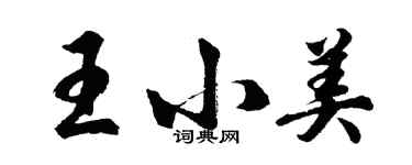 胡問遂王小美行書個性簽名怎么寫