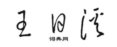 駱恆光王日溪草書個性簽名怎么寫
