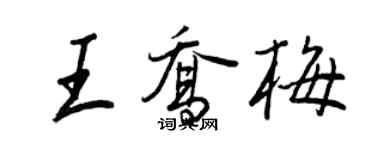 王正良王喬梅行書個性簽名怎么寫