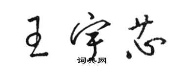 駱恆光王宇芯草書個性簽名怎么寫