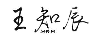 駱恆光王知辰行書個性簽名怎么寫