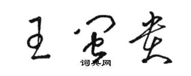 駱恆光王閩貴草書個性簽名怎么寫