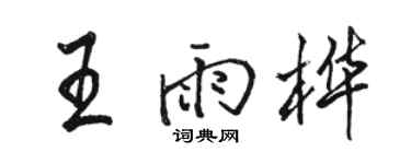 駱恆光王雨樺行書個性簽名怎么寫