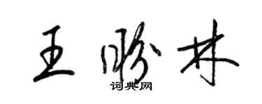 梁錦英王盼林草書個性簽名怎么寫