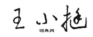 駱恆光王小挺草書個性簽名怎么寫