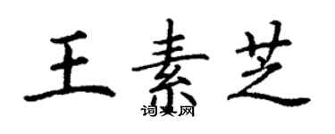 丁謙王素芝楷書個性簽名怎么寫
