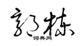 曾慶福郭棟草書個性簽名怎么寫
