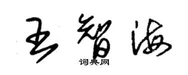朱錫榮王智海草書個性簽名怎么寫