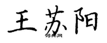 丁謙王蘇陽楷書個性簽名怎么寫