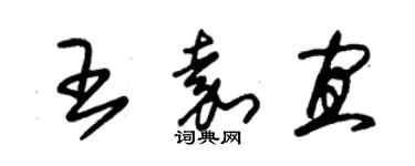 朱錫榮王嘉宜草書個性簽名怎么寫