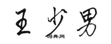 駱恆光王少男行書個性簽名怎么寫