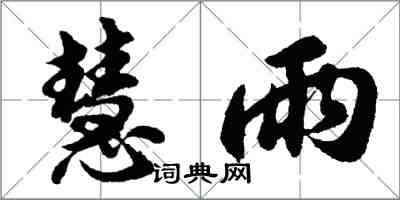 胡問遂慧雨行書怎么寫