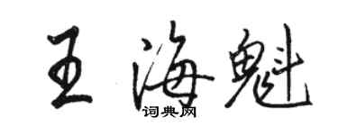 駱恆光王海魁行書個性簽名怎么寫