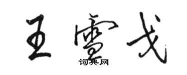 駱恆光王雪戈行書個性簽名怎么寫